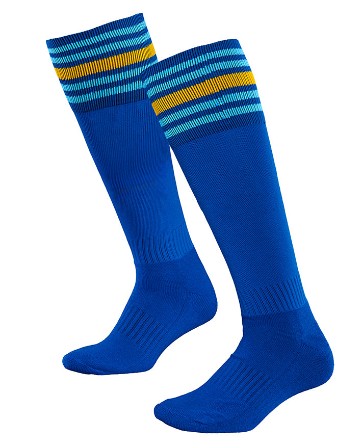Strive Multisport Long  Socks - AC
