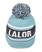 Beanie with Pom Pom