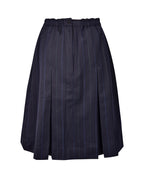 Pleated PW Skirt