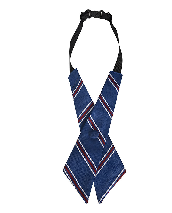 Ribbon (Yr 7-11)