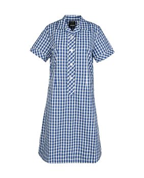 Semi Fit Darted Dress