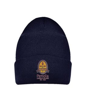 Cable Knit Beanie